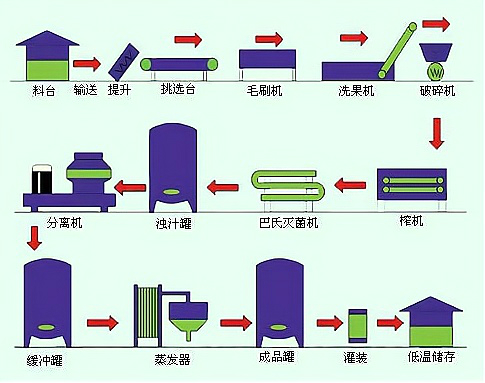 萍果梨类水果加工生产线1